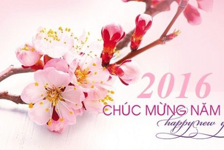 thu-cam-on-va-chuc-tet